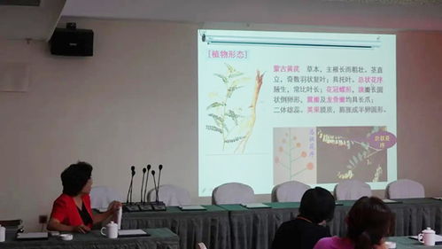 科技創(chuàng)新的引擎 —— 北京企業(yè)技術(shù)開發(fā)研究所以卓越開發(fā)引領(lǐng)行業(yè)前行